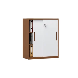 Modern Office Steel Adjustable Eco Friendly Storage Cabinet 2 Sliding Doors Shelves Key Lock Customizable Home Office Outdoor