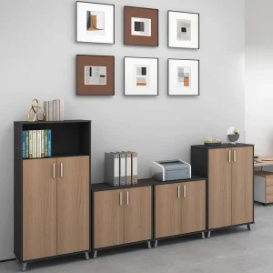 Modern Office Storage Cabinet with Adjustable Shelves Wooden Steel Frame File Organizer for Home Office Company School Hospital