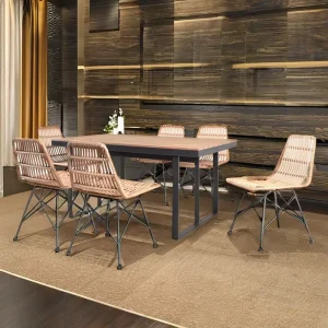 Modern Rattan Restaurant Furniture Set with Glass Table Top and Iron Frame 6 Seater Dining Chairs for Hotel Use