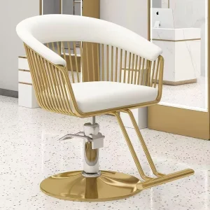Modern Salon Barber Chair with Adjustable Height Portable Design
