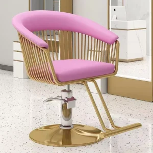 Modern Salon Barber Chair with Adjustable Height Portable Design