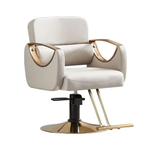 Modern Salon Chair Beauty Salon Equipment Barber Chair Salon Furniture Up and Down