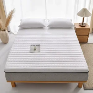 Modern Simple Design Home Furniture Soft Cushion Memory Foam Mattress for Dormitory Bedroom Rental Use Single Tatami Mat