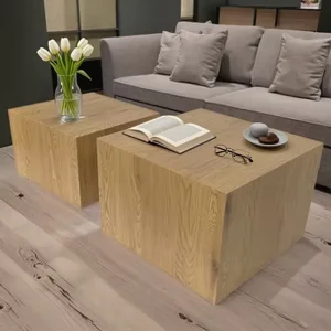 Modern Simple MDF Wood Coffee Table Indoor Outdoor for Hotels Restaurants Living Rooms Bedrooms Table Set