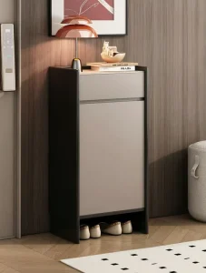 Modern Slim Eco Friendly High Quality Shoe Cabinet Open Bottom Storage 2 Door Entryway Organizer Beige Black Home Furniture