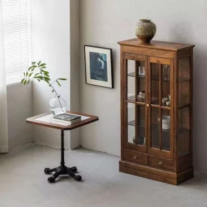 Modern Solid Wood Bookcase with Closable Cabinet Doors Which Not Only Serves As a Display but Also Saves Space