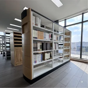 Modern Stainless Steel Hybrid Library Furniture Modular Bookcase with Adjustable Shelves for Hospital School Office Use