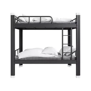 Modern Steel Bunk Bed Thickened Material Dormitory Bunk Bed for School Apartment Hotel Bedroom Use Commercial Furniture