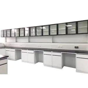 Modern Steel Laboratory Workbench with Reagent Rack and Phenolic Resin Worktop for School Workshop Hospital Use