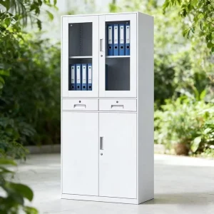 Modern Steel Metal Office Storage Cabinet File Document Half Glass Door Iron Good Price for Kitchen Outdoor Full Height Lock