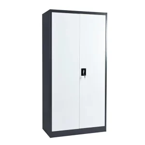 Modern Steel Office Storage Cabinet 2 Door Lockable Filing Cabinet with Adjustable Shelves for Home School Gym & Garage