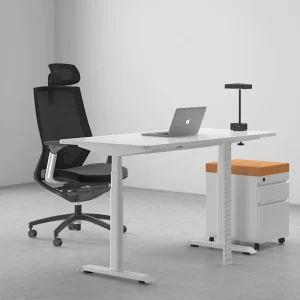 Modern Steel Wooden Top Dual Motors Height Adjustable Ergonomic Electric Standing Desk with Quiet Motor for Open Office