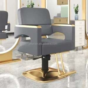 Modern Style Salon Chair New Style Styling Chair for Hair Salon Hotel Outdoor Workshop