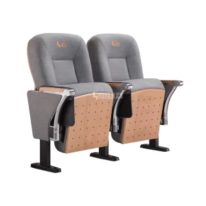 Modern Theater Seating Cinema Chairs School Conference Lecture Cushion Auditorium Hall Chair