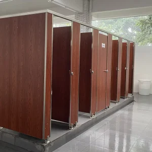 Modern Toilet Partition 12mm Thick Disabled Indicator Bolt Lock HPL Material Waterproof Fireproof Easy Installation SPA
