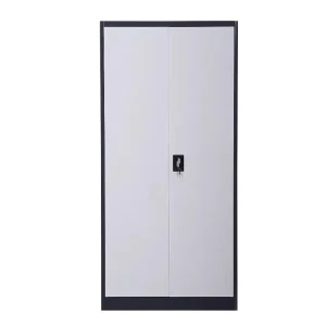 Modern Two Door Vertical Steel Adjustable File Storage Cabinet Fireproof Waterproof KD Brand Home Office Gym School Bedroom