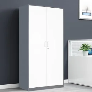 Modern Two Door Vertical Steel File Storage Cabinet Fireproof and Waterproof for Home Office Gym School Use