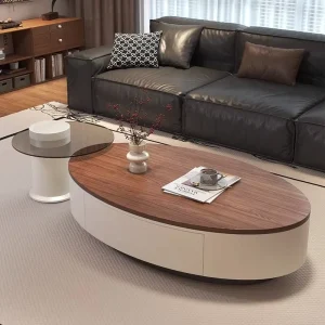 Modern Walnut Color Oval Coffee Table Light Luxury Quiet Wind Design for Living Room Small Apartment Special Shaped