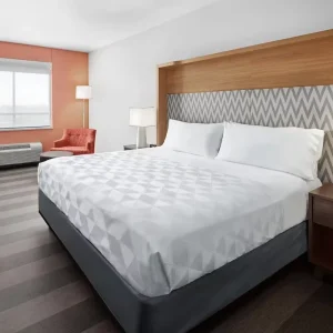 Modern Wood Panel Hotel Lobby and Bedroom Furniture Fixed Resident 5 Star Set for Apartment and Bathroom Use