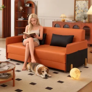 Modern Wooden Frame Foam 2-Seat Sofa Bed 2-in-1 Convertible Couch for Apartment Hotel Living Room Furniture Space Saving Design