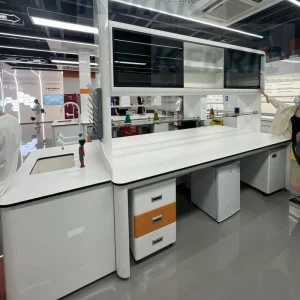 Multifunction Lab Island Bench Iron Laboratory Furniture Customizable