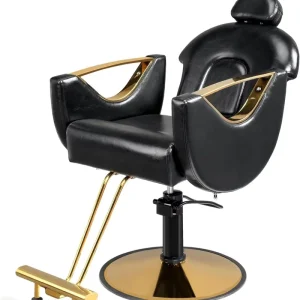 Multifunctional Lifting Beauty Salon Hair Salon Styling Reclining Chair Hairdressing Barber Chair