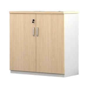 New Arrival Office Furniture File Cabinet High Capacity Storage Solution for Workplace