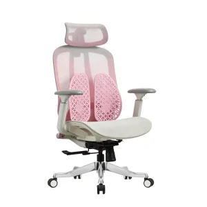 New Arrivals Creative Design Ergonomic Office Work Chair Comfortable Dual Lumbar Support Pretty pink Staff Visitor Chair