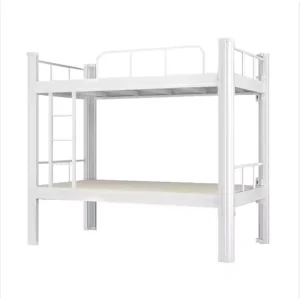 New Steel Bunk Bed for Apartments Metal Dormitory and School Furniture