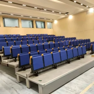 Newly Factory Price Modern Plastic Stadium Seats Rear mounted Grandstand Folding Chairs School Gym VIP Auditorium Seat