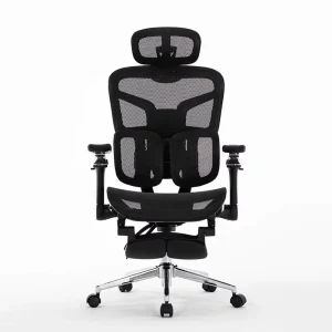 Newly designed Boss Ergonomic Office Chair with Adjustable Head Pillow Footrest Height Luxury Computer Chair