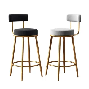 Nordic Modern Simple Light Luxury Adjustable Metal Frame High Bar Stool with Wine Backrest for Milk Tea Shop and Front Desk