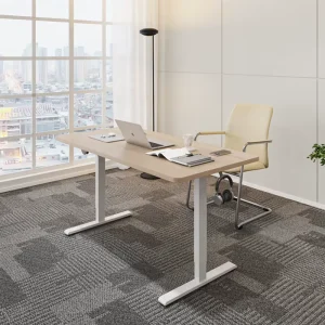 OEM Custom Modern Electric Standing Desk Adjustable Height Sit Stand up Single Motor Home Office Ergonomic Workstation