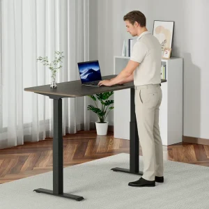 OEM ODM Manufacturer Electric Height Adjustable Standing Desk Ergonomic Office Furniture Dual Motor Sit Stand Workstation