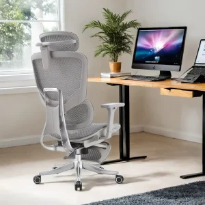 OEM Office Furniture Modern Executive High Back Ergonomic Pro Chair Ergonomic Office Chair with Footrest