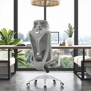 Office Chair, Ergonomic Slide Seat, Computer Chair, Factory Supplier, High Back, Full Mesh, Aluminum, Modern