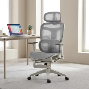 Office Furniture Computer Adjustable Full Mesh Ergonomic Executive High Back Office Chairs With Footrest