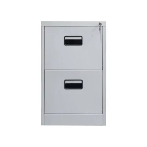 Office Furniture Steel 2 Drawer Document Storage Cabinet Folder Metal Vertical File Filing Cabinet