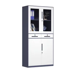 Office Voucher Cabinet Financial Filing Cabinet Archive Cabinet Bookcase with Glass Doors Glass Door Book Cabinet