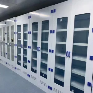 PP Lab Cabinet Chemical Storage Laboratory Cabinet PP Lab Cabinet for School Laboratory
