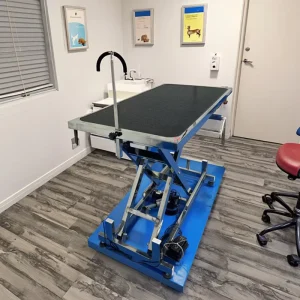 Pet Supplies Electric Professional Stainless Steel Veterinary Cat Dog Grooming Table Lifting Adjustable Reusable