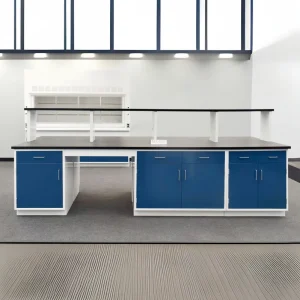 Physics Chemical Work Bench with Cabinet Laboratory Dental Furniture Lab Tables for Cleanroom Food Testing Pharmaceutical Lab
