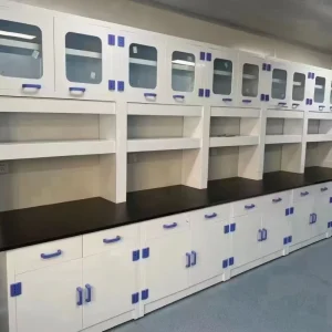 Polypropylene Laboratory Furniture PP Lab Bench Lab Side Bench for Microbiology Industry