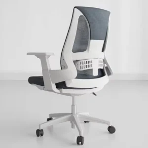 Premium Ergonomic Mesh Office Chair for Home Study and Modern Workspaces