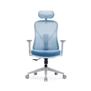 Premium Modern Executive Office Chair Ergonomic Swivel Mesh Chair Adjustable Support Nylon Material Home Office Use Steel Base