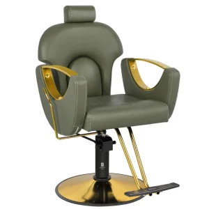 Professional All Purpose Hydraulic Reclining Salon Barber Chair 360 Degree Swivel for Salons Barbershops Schools Living Rooms