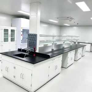 Professional All Steel Laboratory Bench Anti Corrosion Heavy Duty Lab Workstation with Storage Cabinet