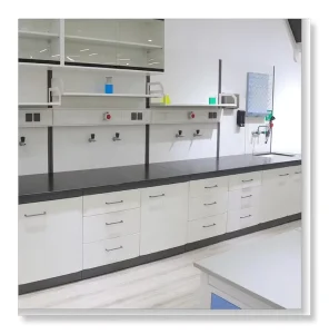 Professional Laboratory Bench Workstation Laboratory Workbench Price Low Cost to Build Labs