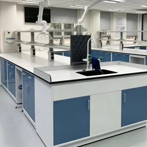 Professional Level Steel and Wood Laboratory Work Large Capacity Frame Cabinet Base Dust Proof Storage Laboratory Table