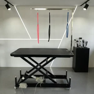 Professional Stainless Steel Pet Salon Grooming Table 360 Degree Electric Lifting Function Foldable Design for Dog Grooming